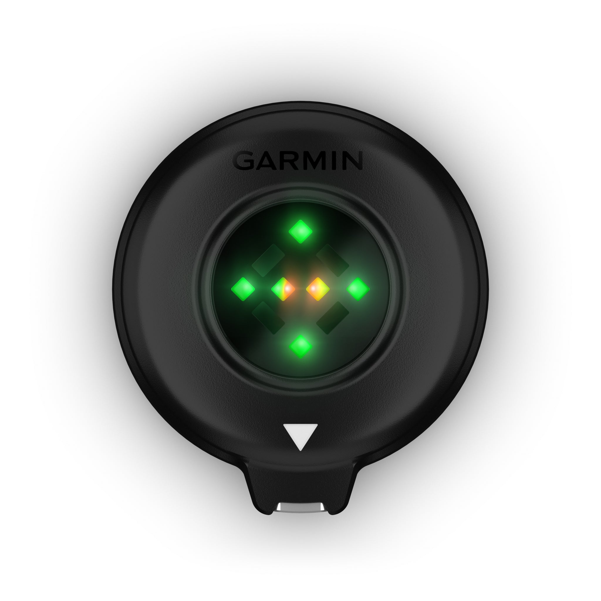 Garmin Blaze Equine Wellness System - Image 4