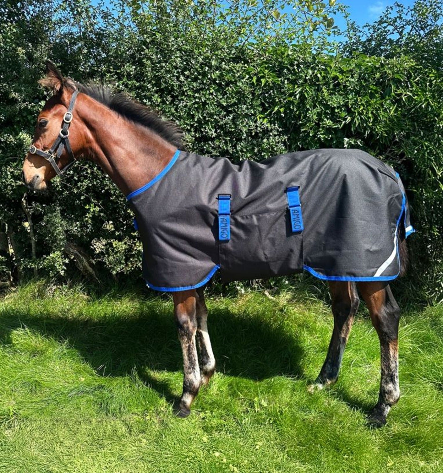 Amigo Ripstop 900D Foal Turnout 200g