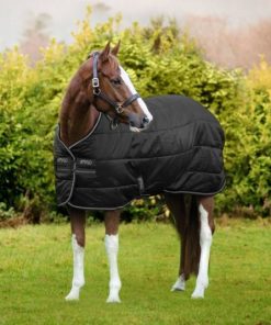 Alternative view of Amigo Diamond Insulator 100g