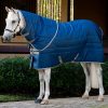 Amigo RS Insulator Plus Stable 550g