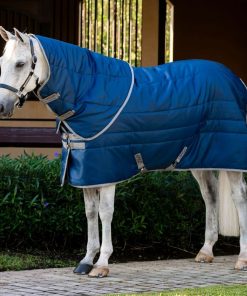 Amigo RS Insulator Plus Stable 550g