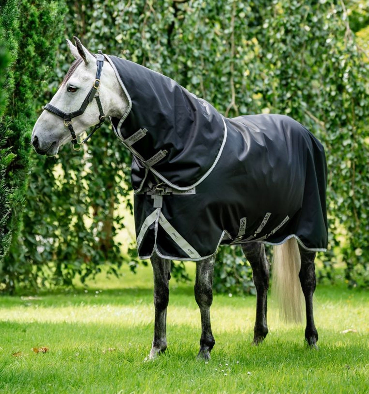 Amigo Bravo 12 Plus Turnout (100g Light) - Image 2