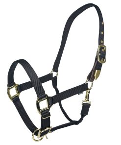 Alternative view of Gatsby Gold Personalized Nylon Breakaway Halter with Snap