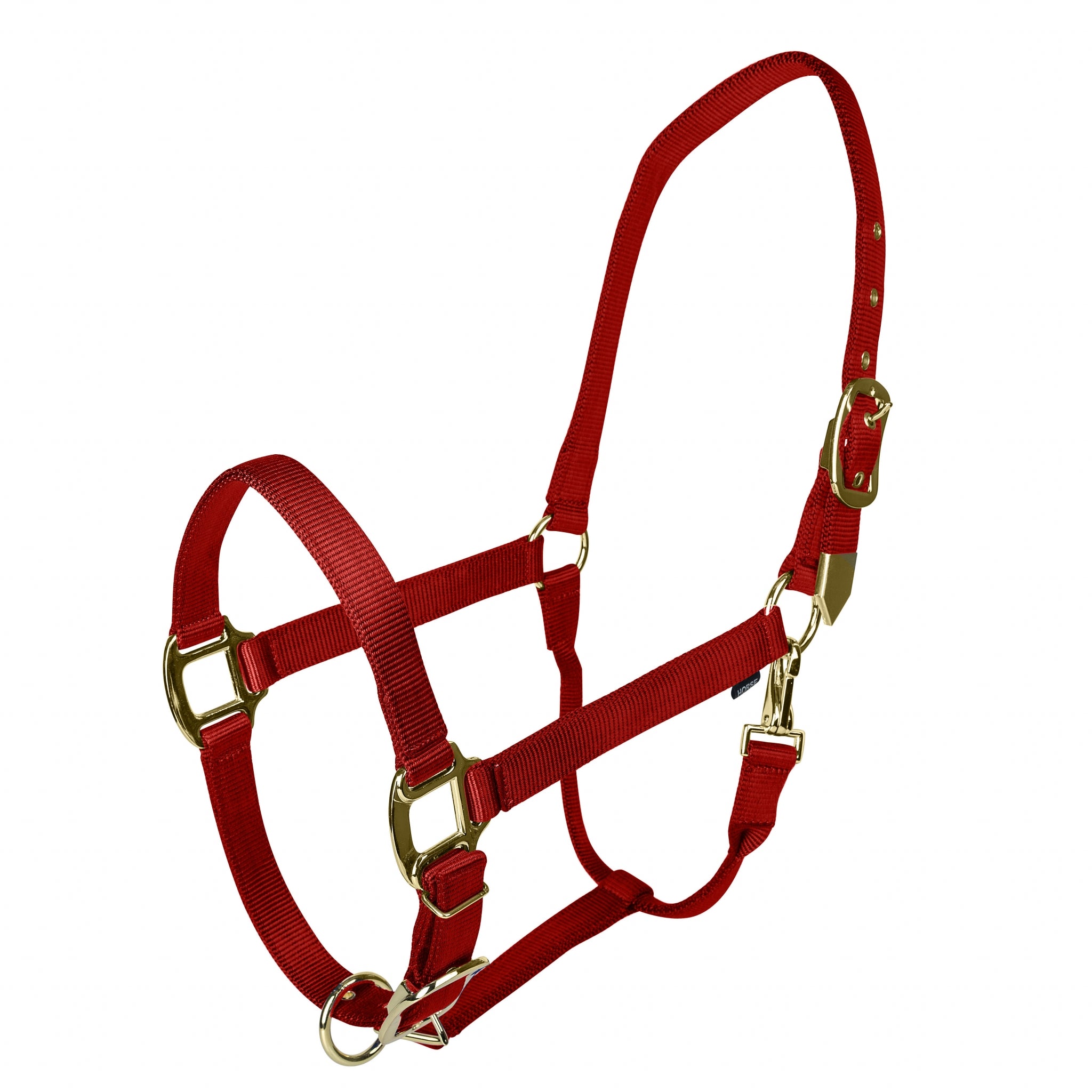 Gatsby Gold Personalized Adjustable Nylon Safety Breakaway Halter - Image 5