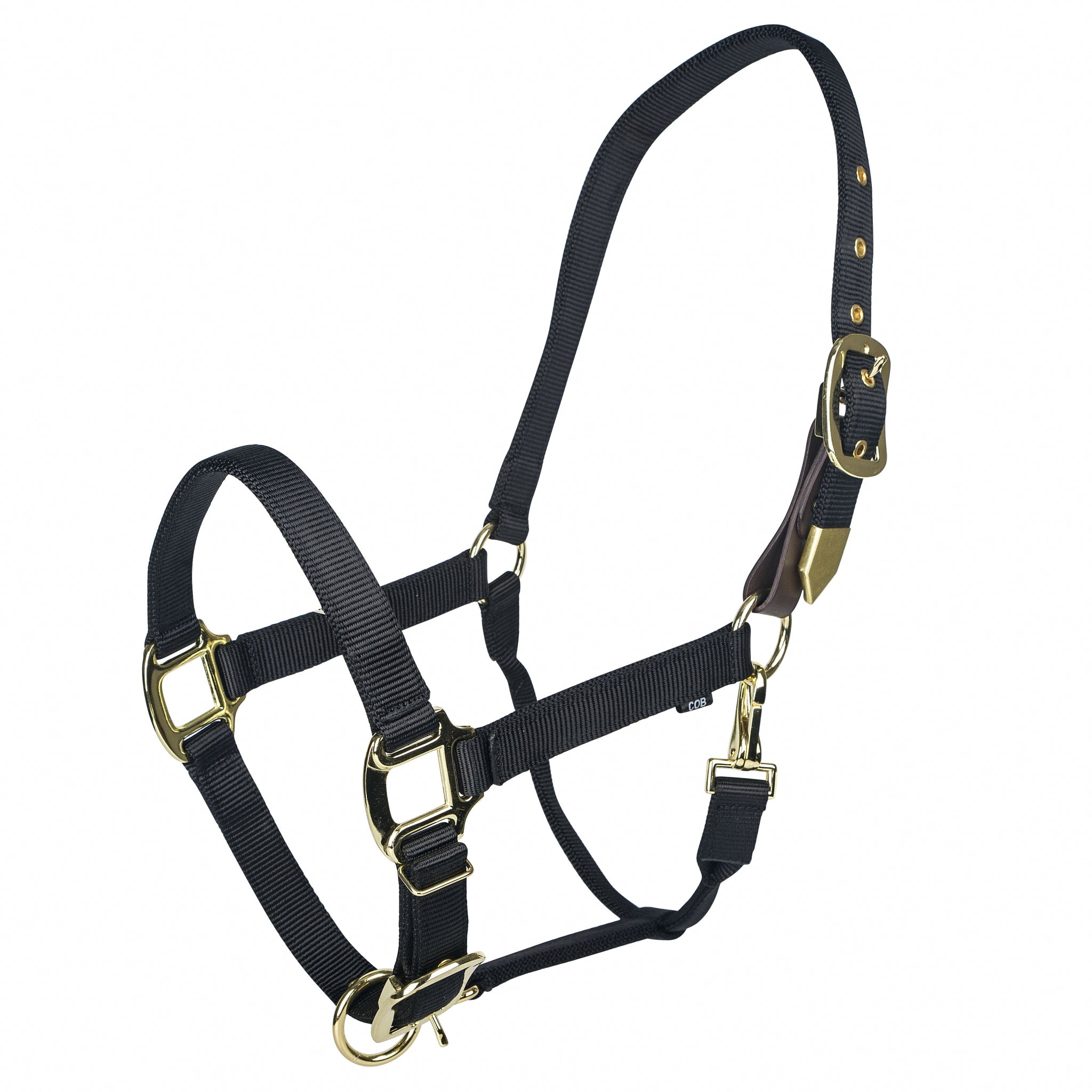Gatsby Gold Personalized Adjustable Nylon Safety Breakaway Halter - Image 2
