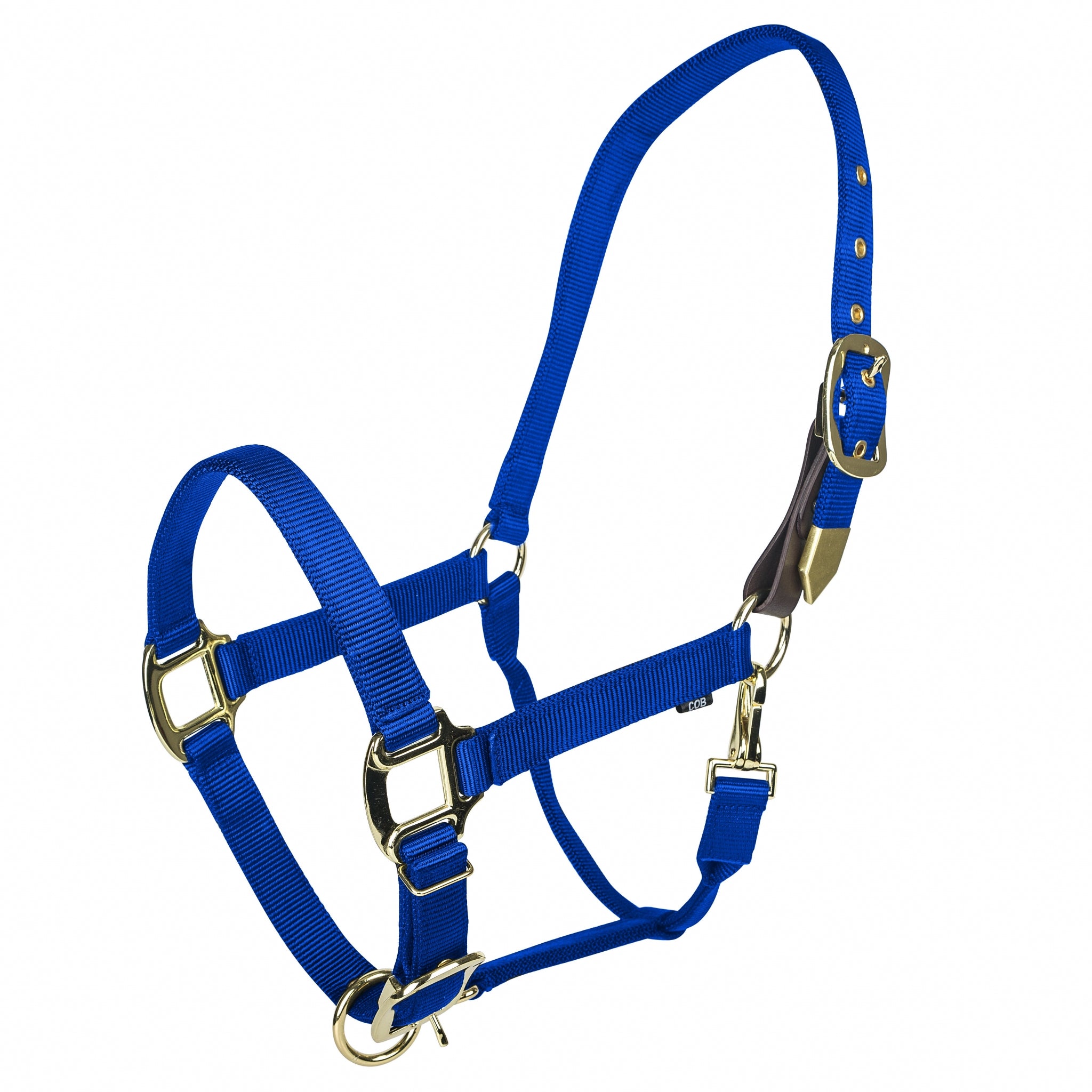 Gatsby Gold Personalized Adjustable Nylon Safety Breakaway Halter - Image 6