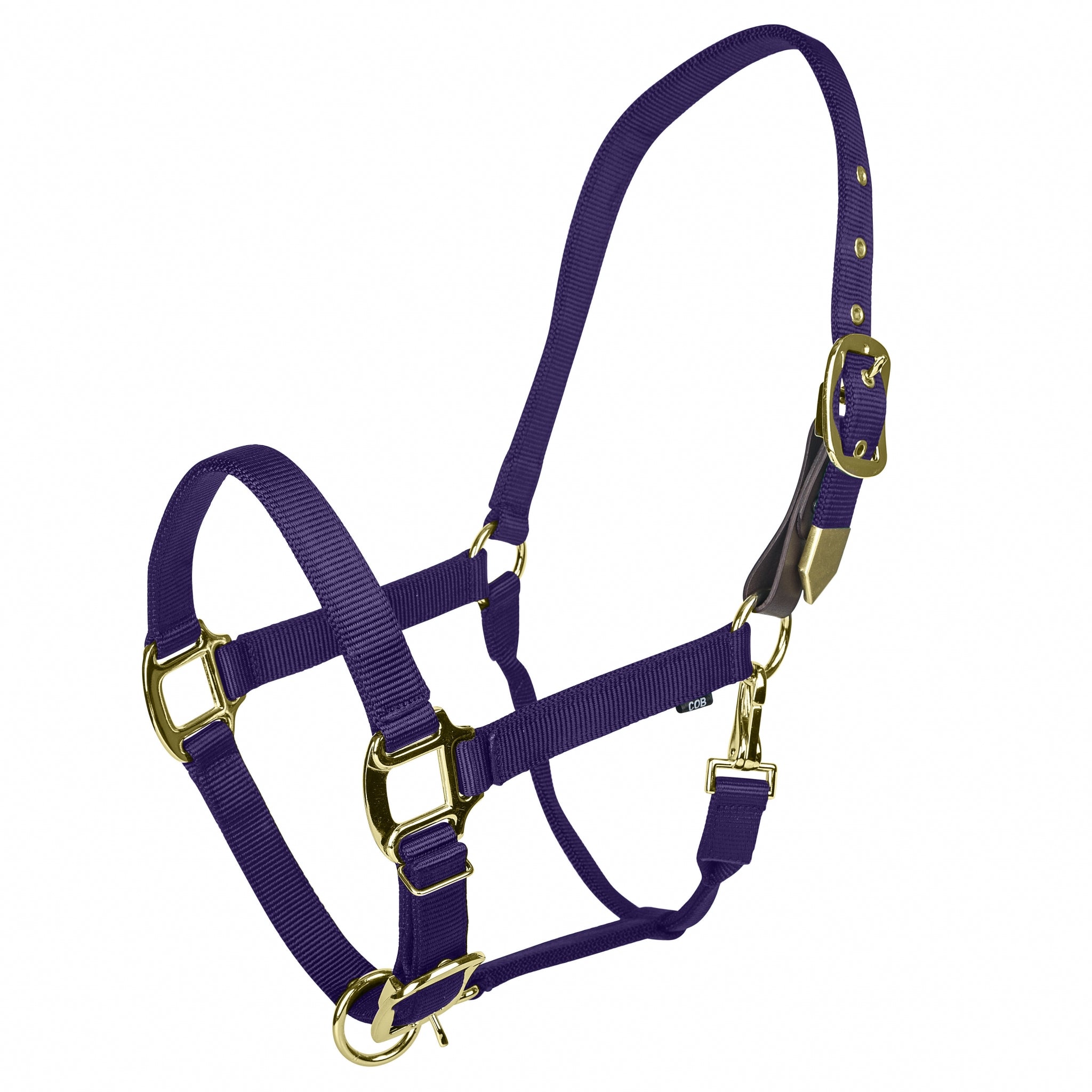 Gatsby Gold Personalized Adjustable Nylon Safety Breakaway Halter - Image 3
