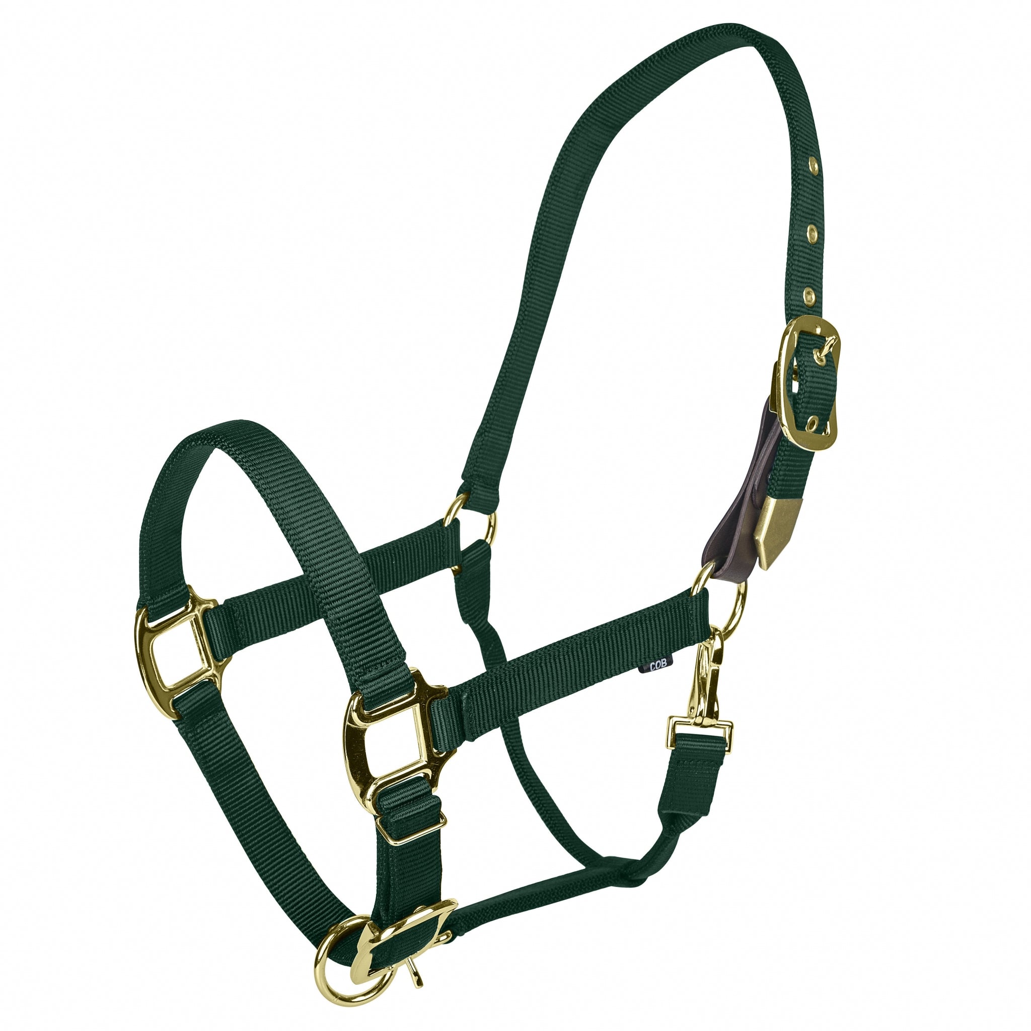 Gatsby Gold Personalized Adjustable Nylon Safety Breakaway Halter - Image 4