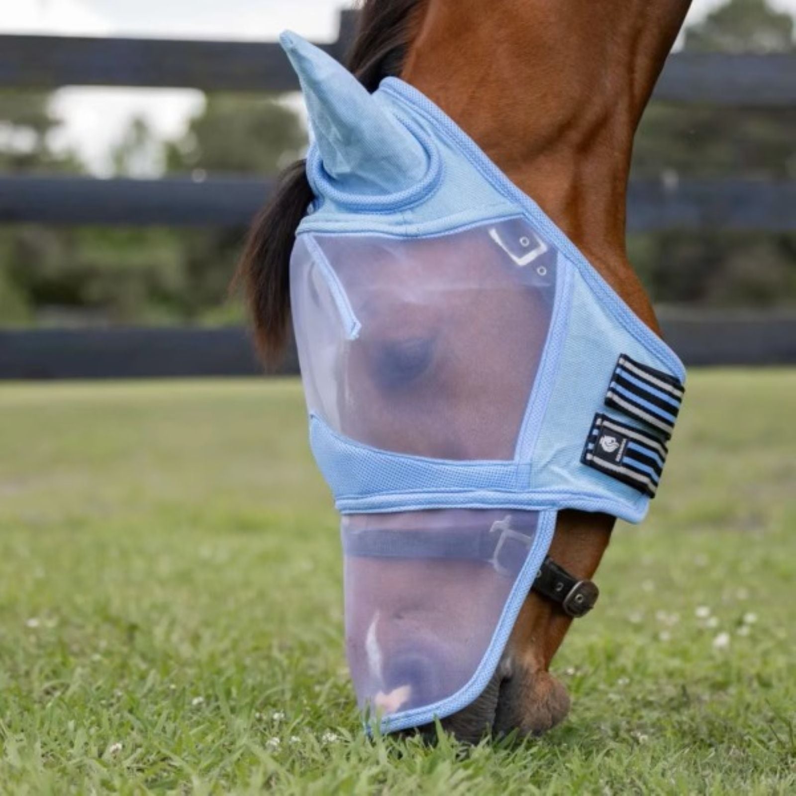 Equinavia Algard Soft Mesh Long Nose Fly Mask - Image 3