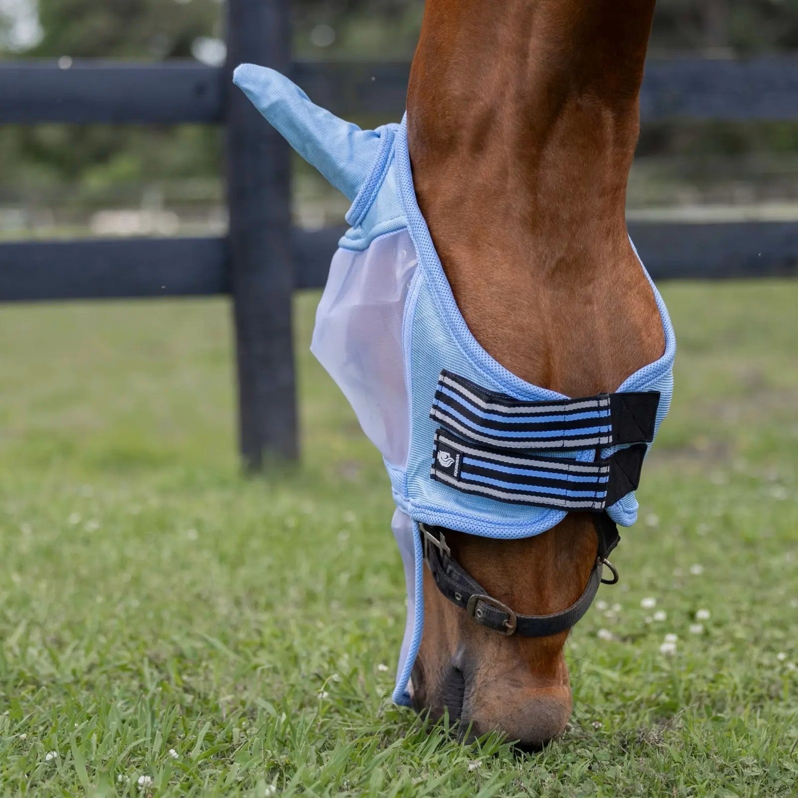 Equinavia Algard Soft Mesh Long Nose Fly Mask - Image 4