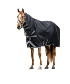 Alternative view of Amigo 1200D Integrated Turnout 150g
