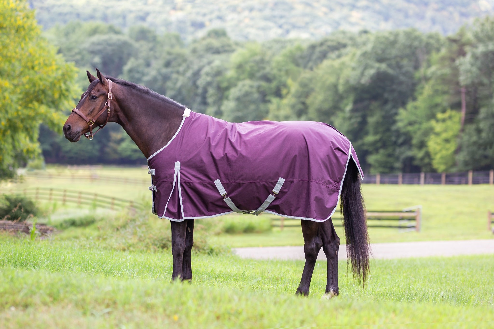 Gatsby Shield 1200D 250g Waterproof Turnout Blanket - Image 3