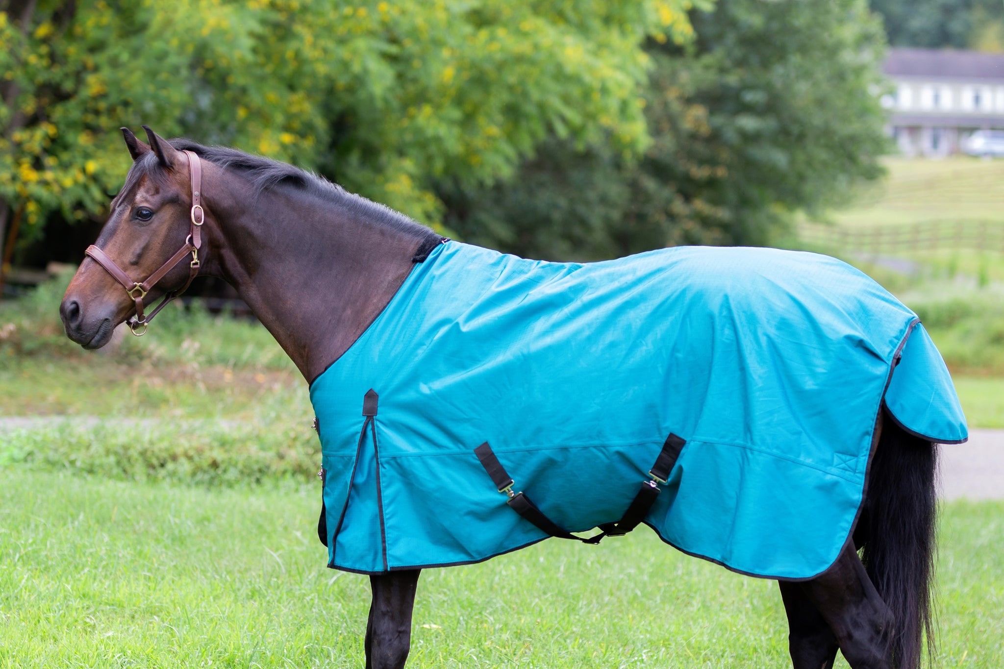 Gatsby Shield 1200D 250g Waterproof Turnout Blanket - Image 4