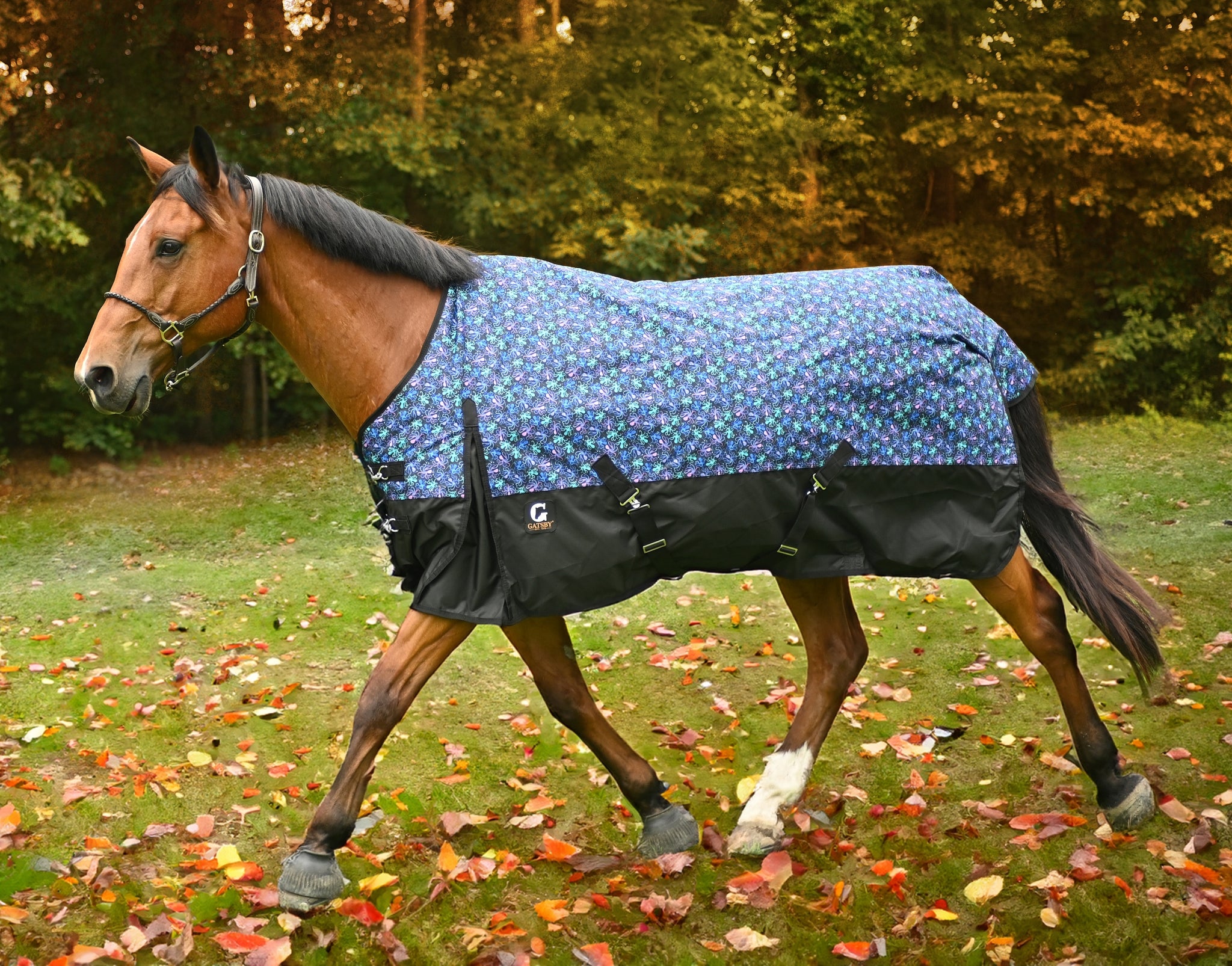Gatsby Guard 600D Waterproof Turnout Sheet - Image 2