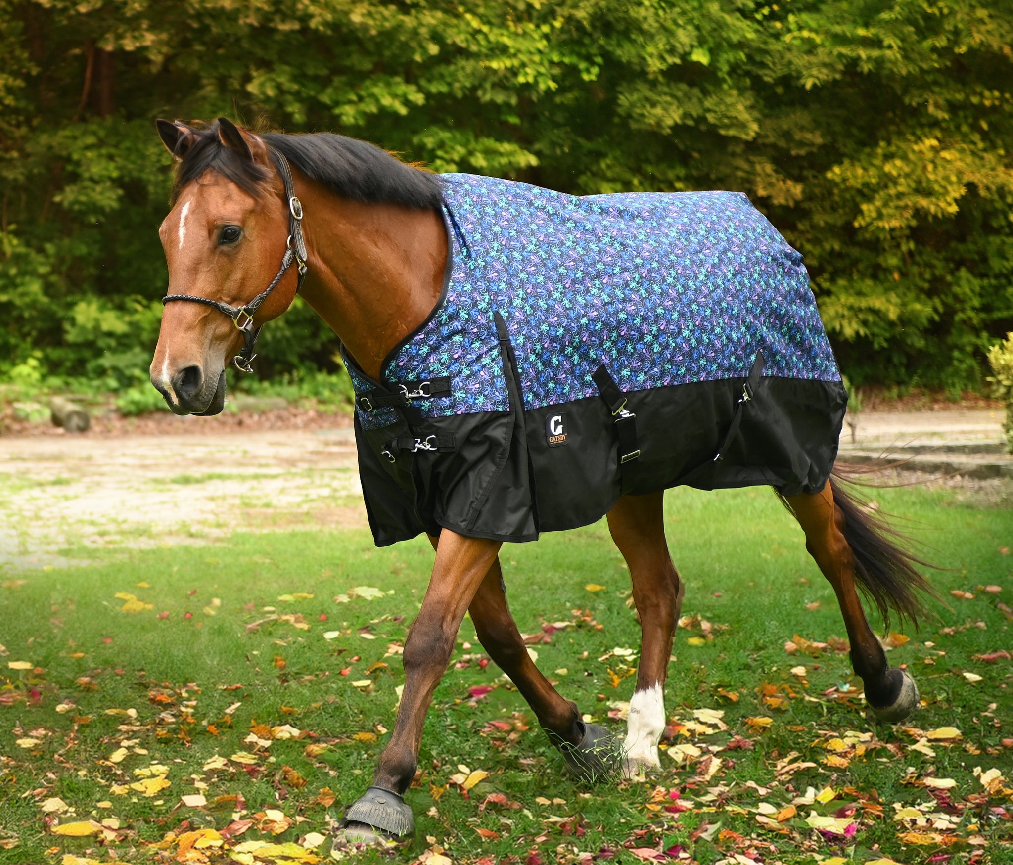 Gatsby Guard 600D Waterproof Turnout Sheet - Image 4
