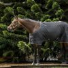 Amigo Quarter Horse Stable 100g