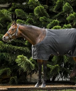 Amigo Quarter Horse Stable 100g