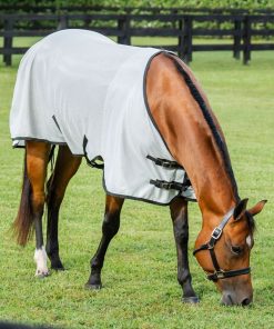 Amigo Bug Rug Stock Horse Fly Sheet