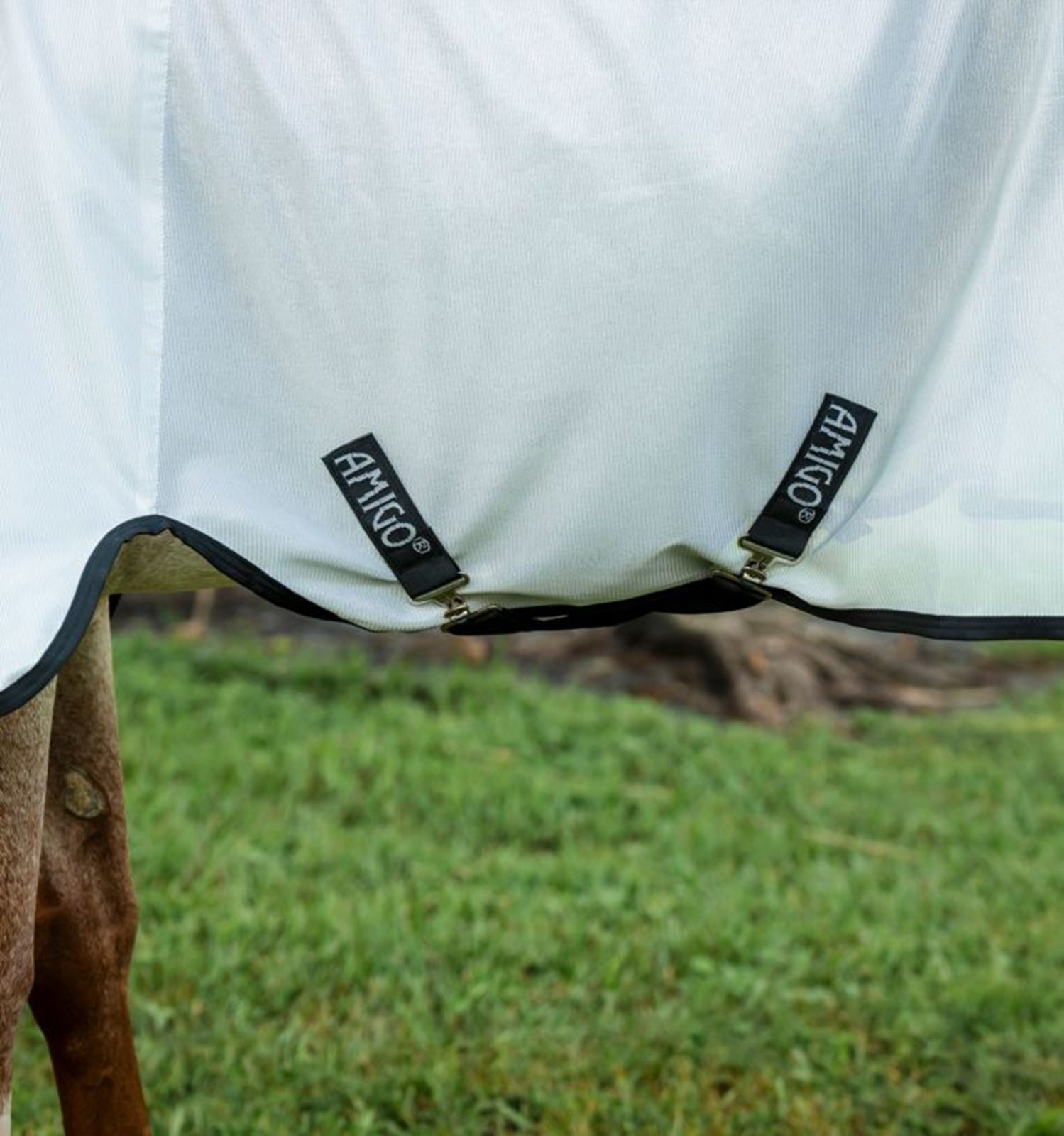 Amigo Bug Rug Stock Horse Fly Sheet - Image 3