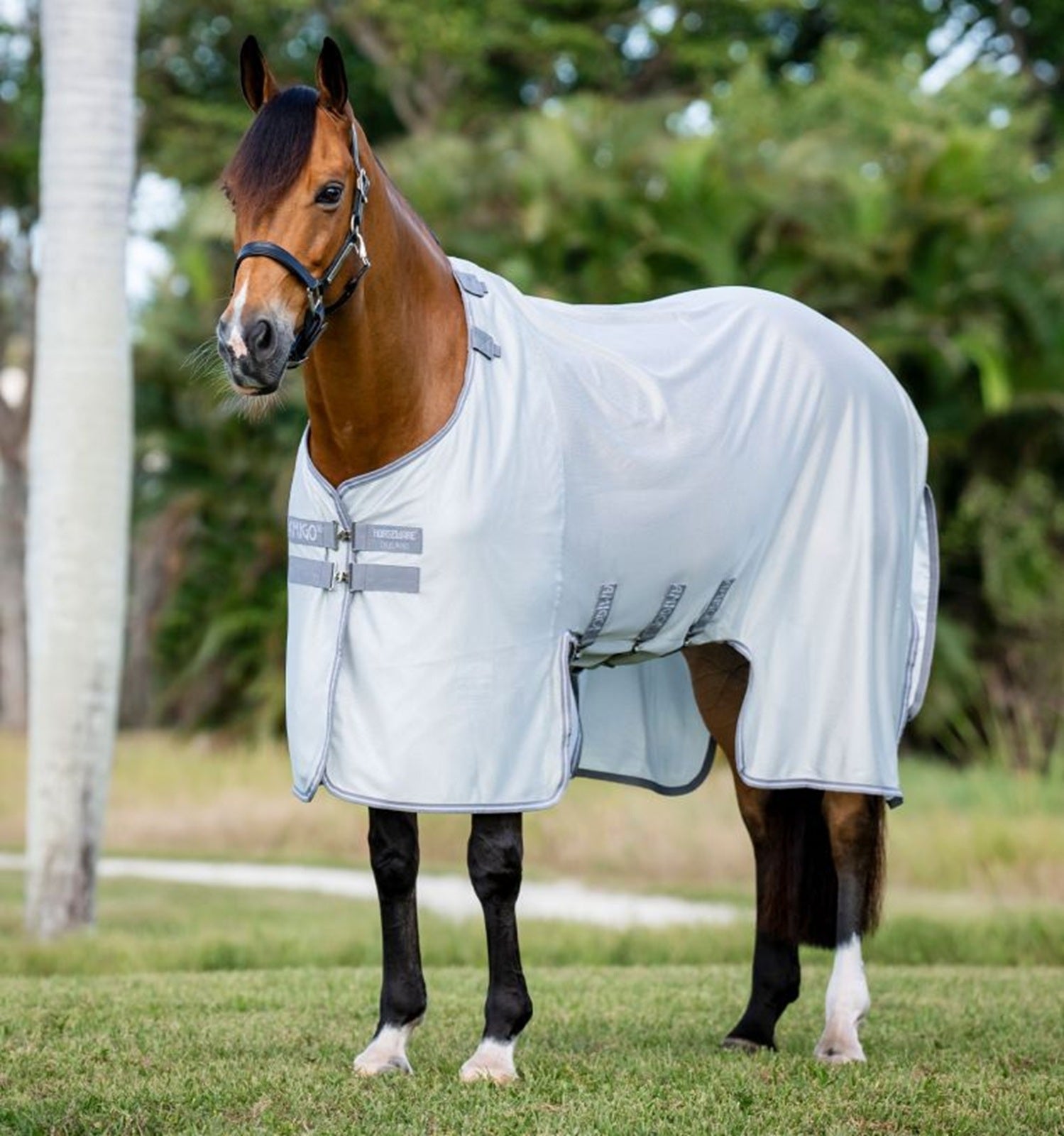 Amigo Bug Buster Fly Sheet - Image 2