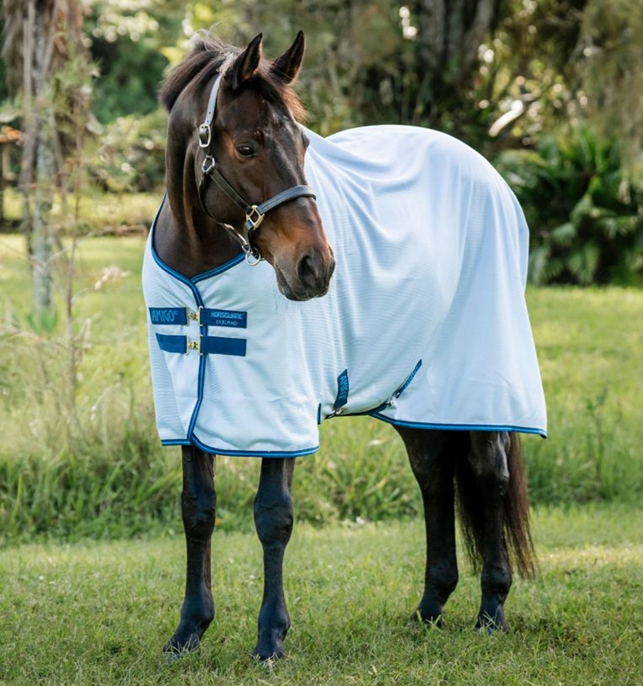 Amigo Bug Rug Fly Sheet