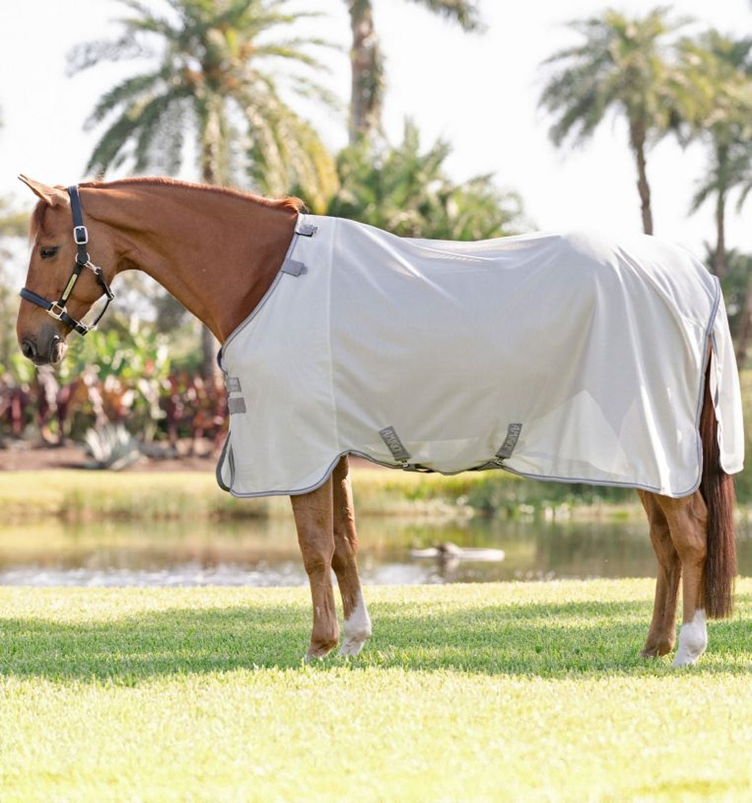 Amigo Bug Rug Fly Sheet - Image 2