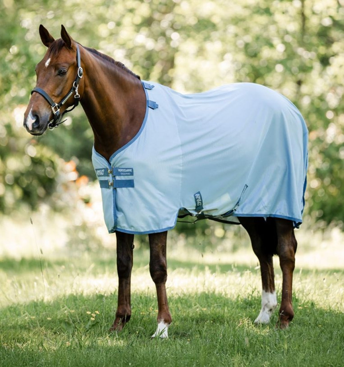 Amigo Bug Rug Fly Sheet - Image 3
