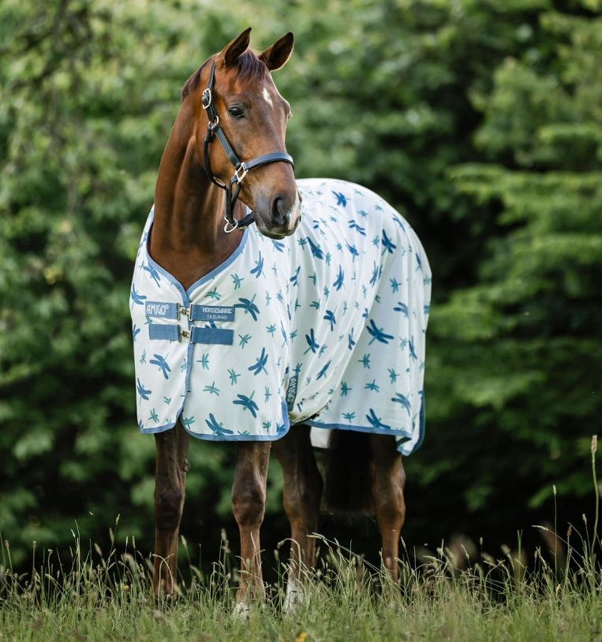 Amigo Bug Rug Fly Sheet - Image 4