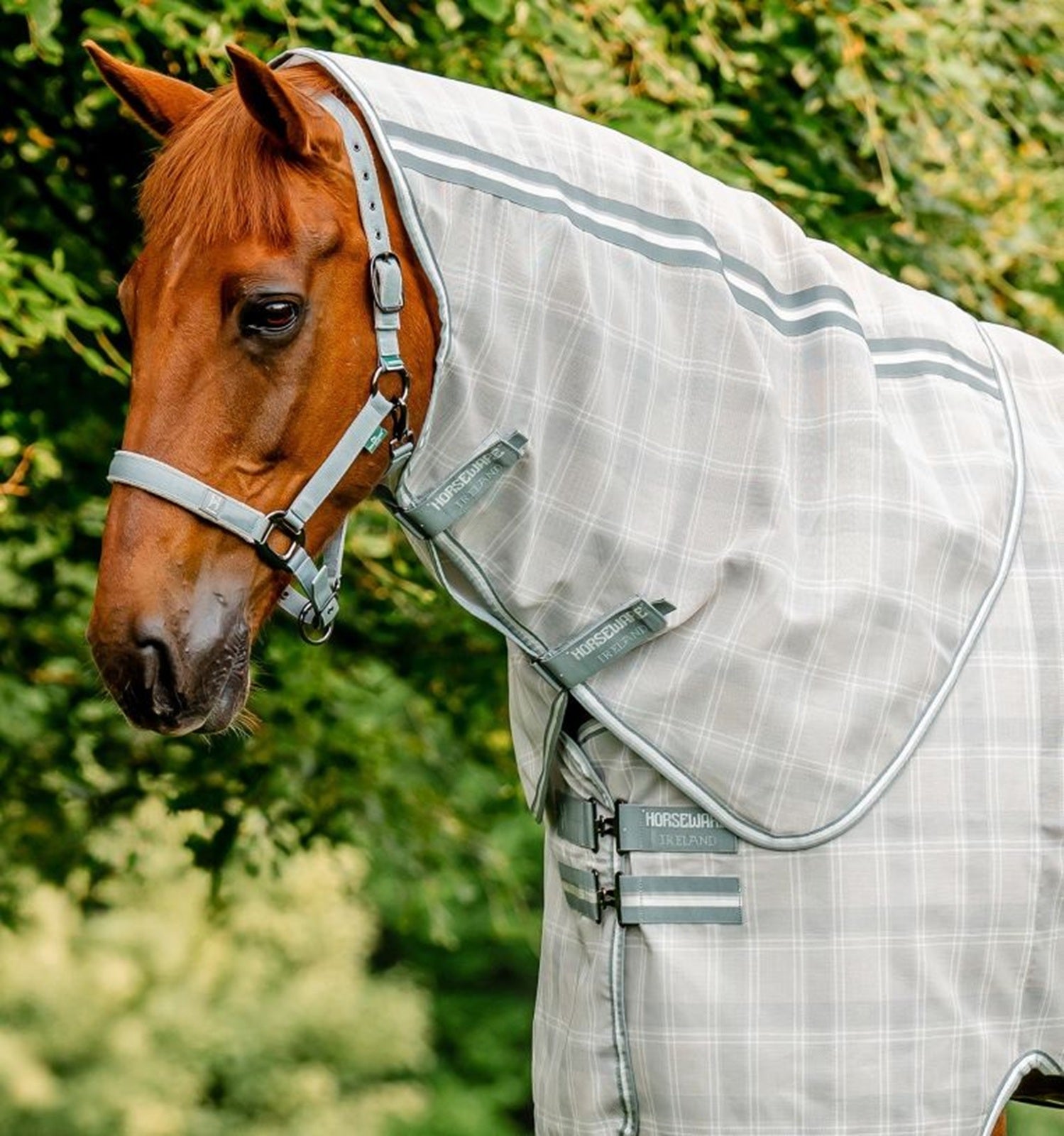 Horseware Newmarket Fly Sheet Hood - Image 2