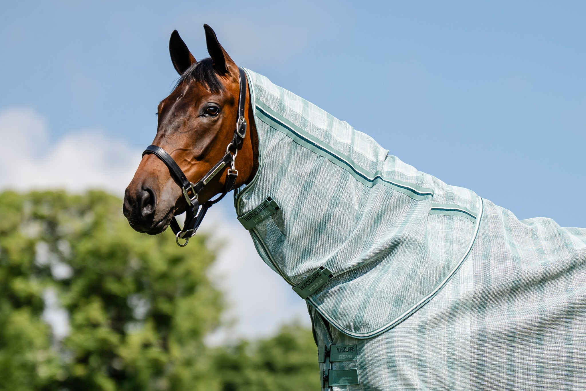 Horseware Newmarket Fly Sheet Hood - Image 3