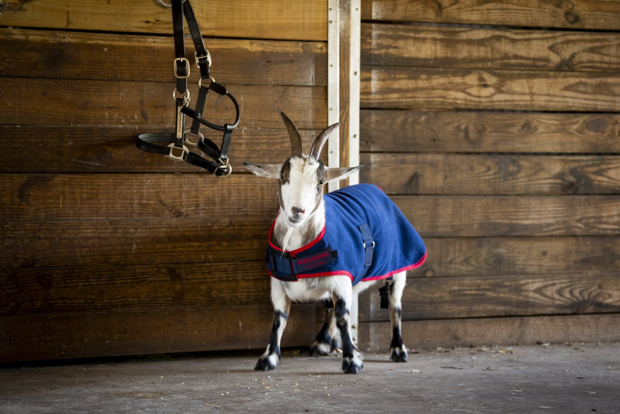 Horseware Goat Fleece