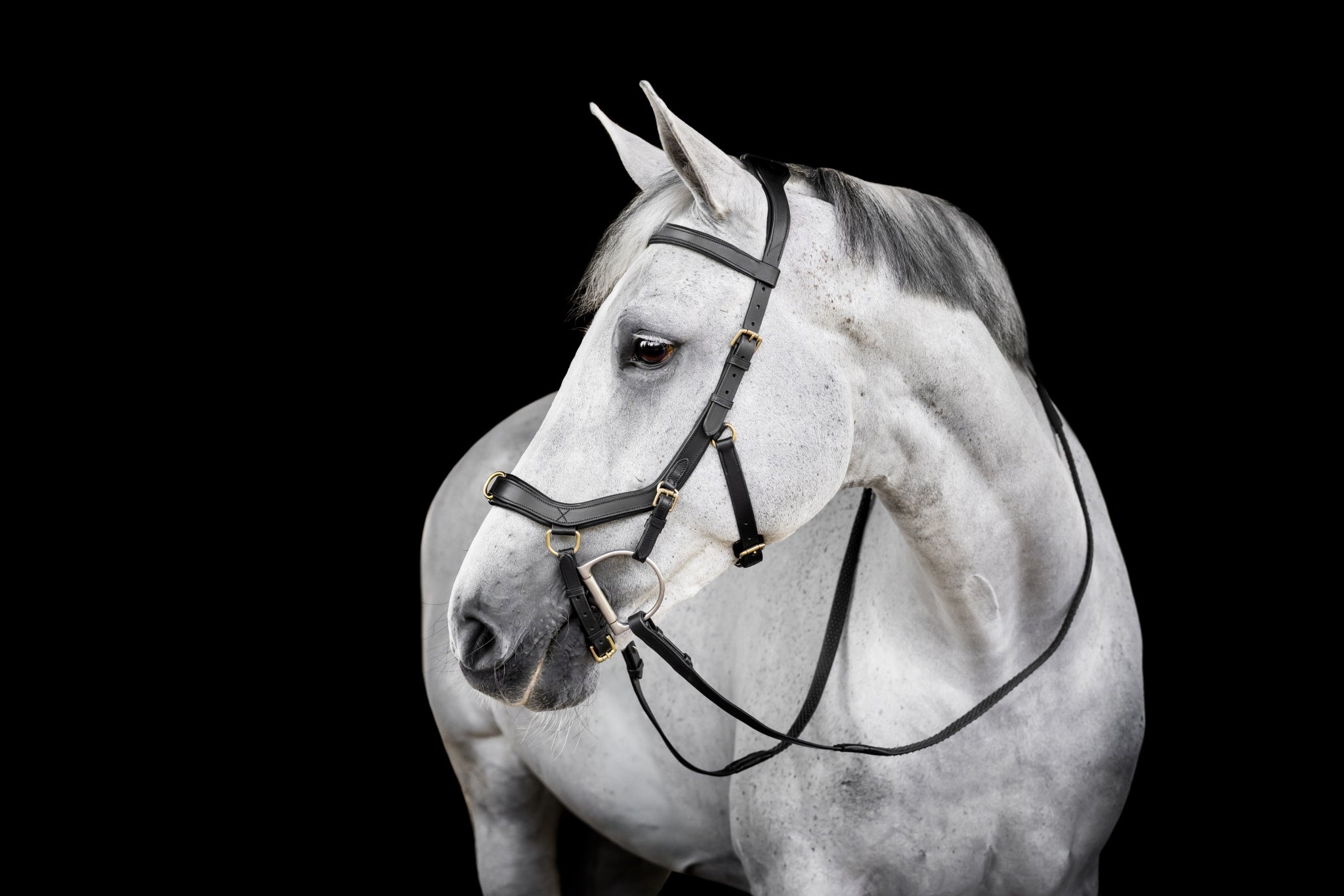 Horseware Micklem Multi Bridle