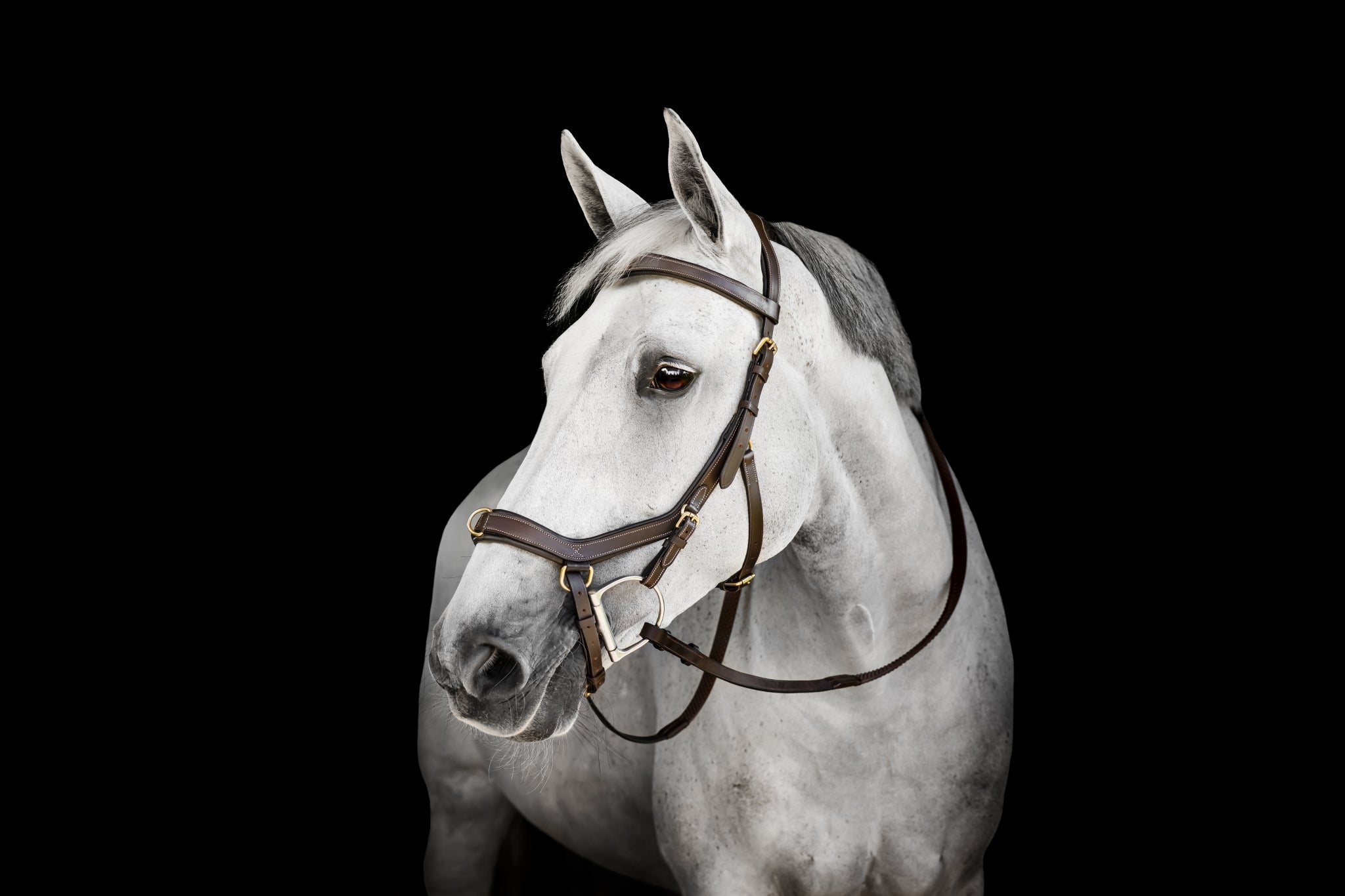 Horseware Micklem Multi Bridle - Image 2