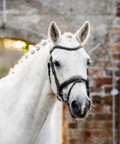 Horseware Pony Flash Bridle