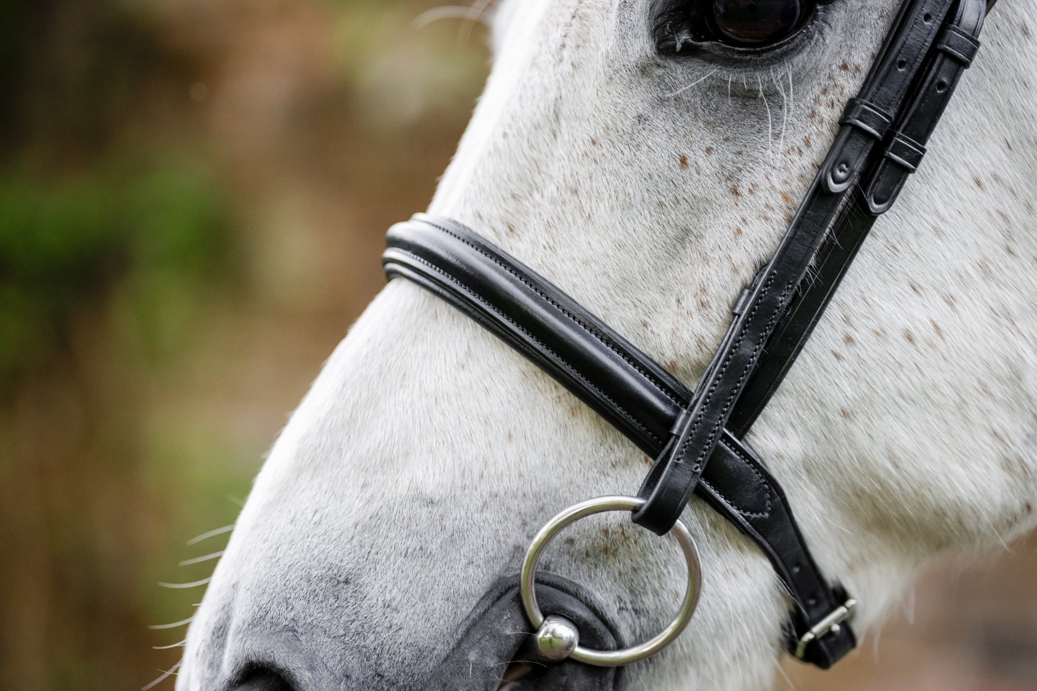 Horseware Pony Cavesson Bridle - Image 3