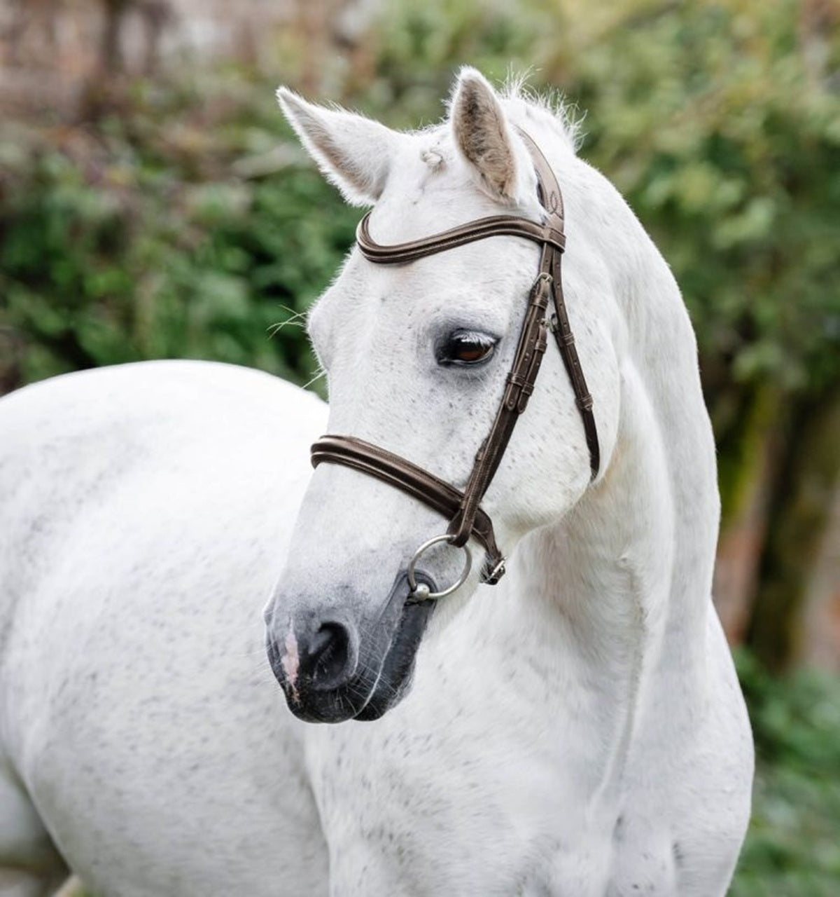 Horseware Pony Cavesson Bridle - Image 2