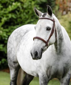Horseware Hunter Cavesson Bridle