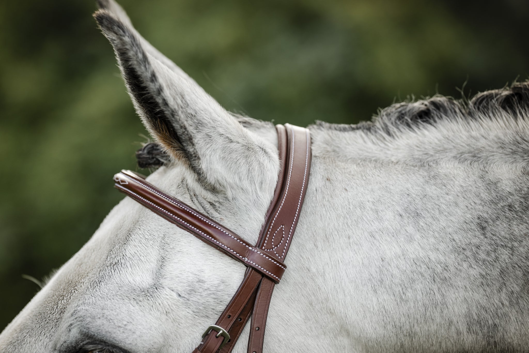 Horseware Hunter Cavesson Bridle - Image 3