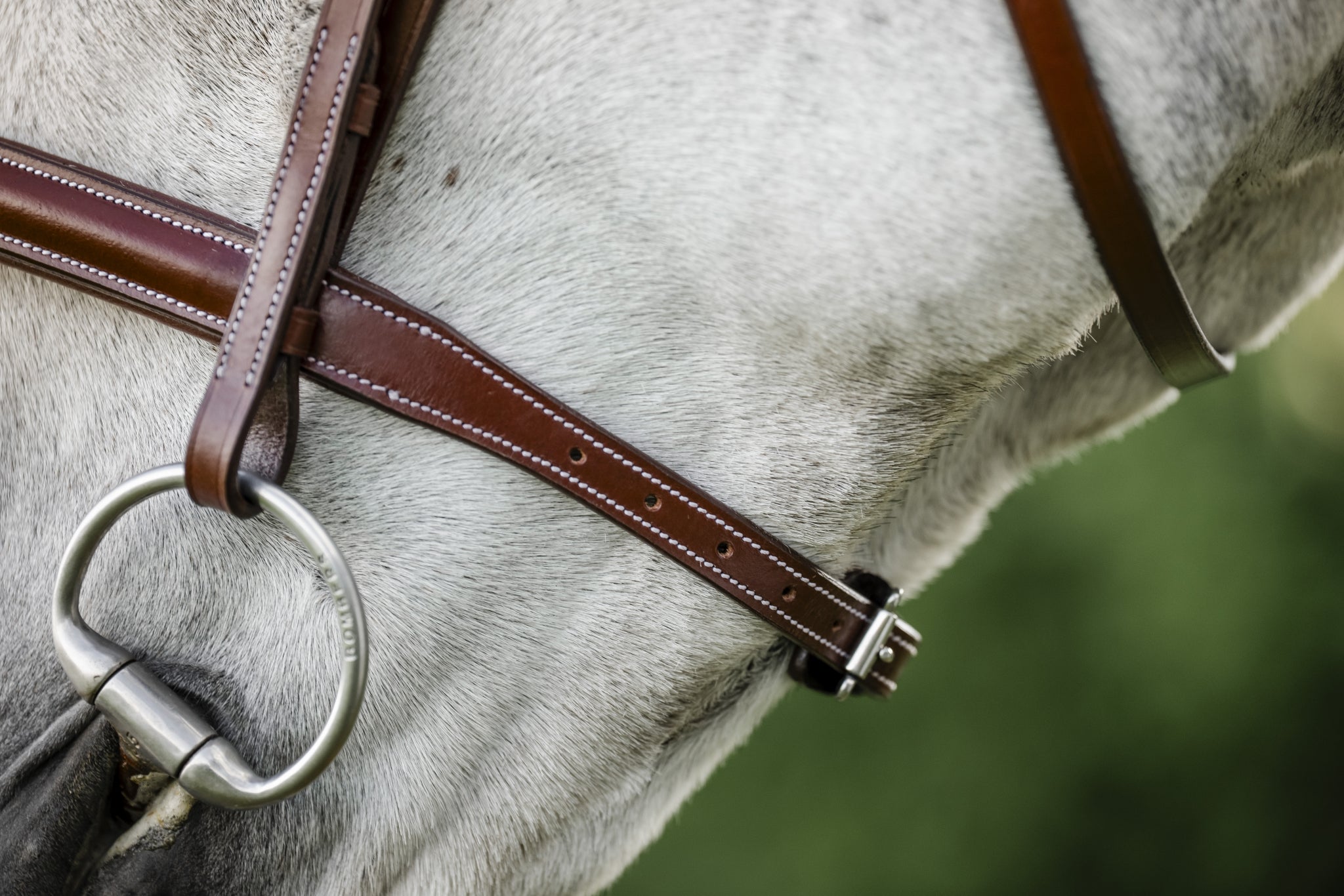 Horseware Hunter Cavesson Bridle - Image 4