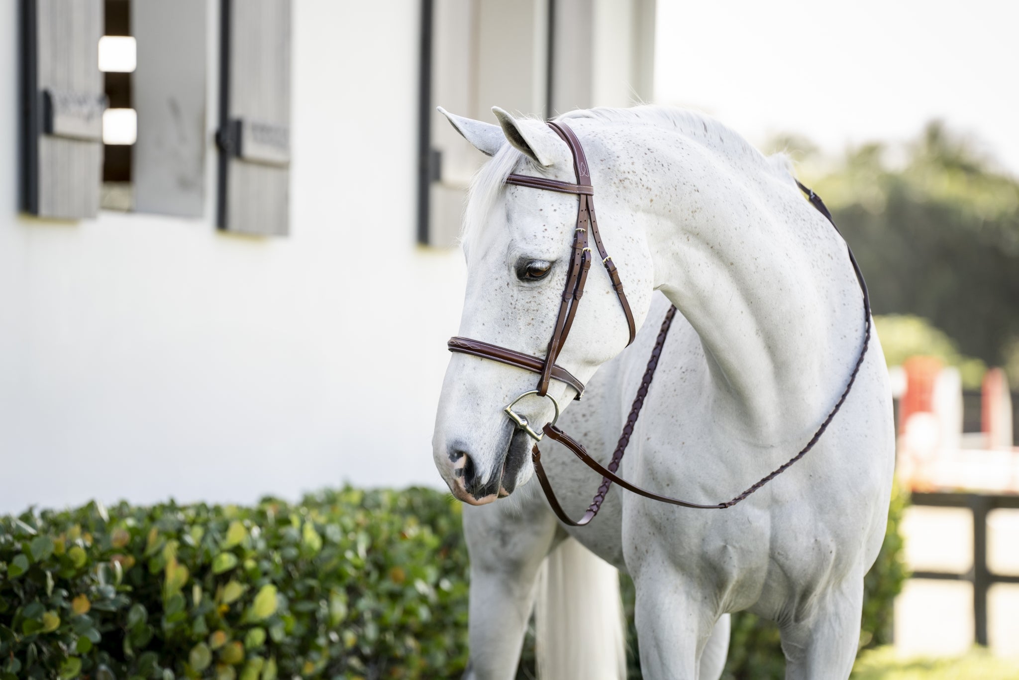 Horseware Hunter Cavesson Bridle - Image 2