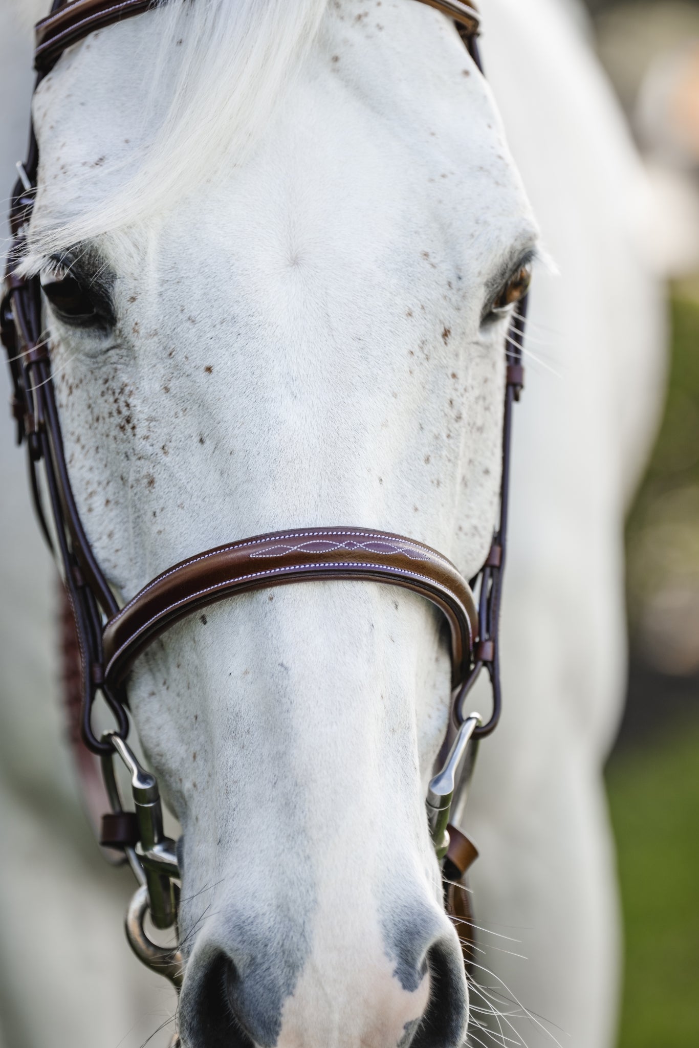 Horseware Hunter Cavesson Bridle - Image 5