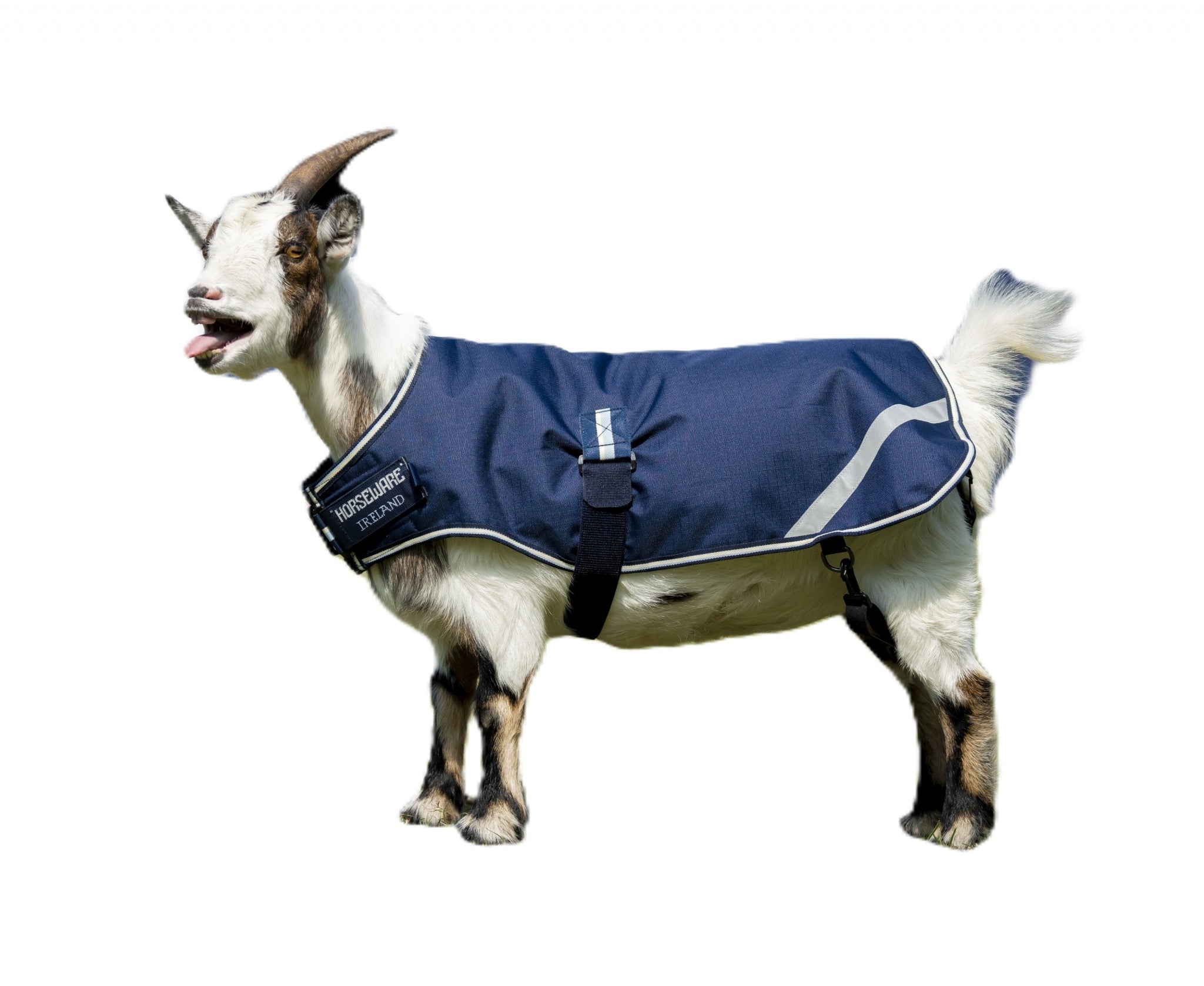 Horseware Goat Coat 200g - Image 2