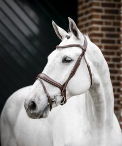 Alternative view of Horseware Dressage Flash Bridle