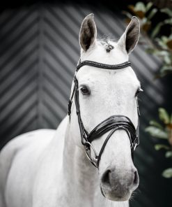 Horseware Diamante Flash Bridle
