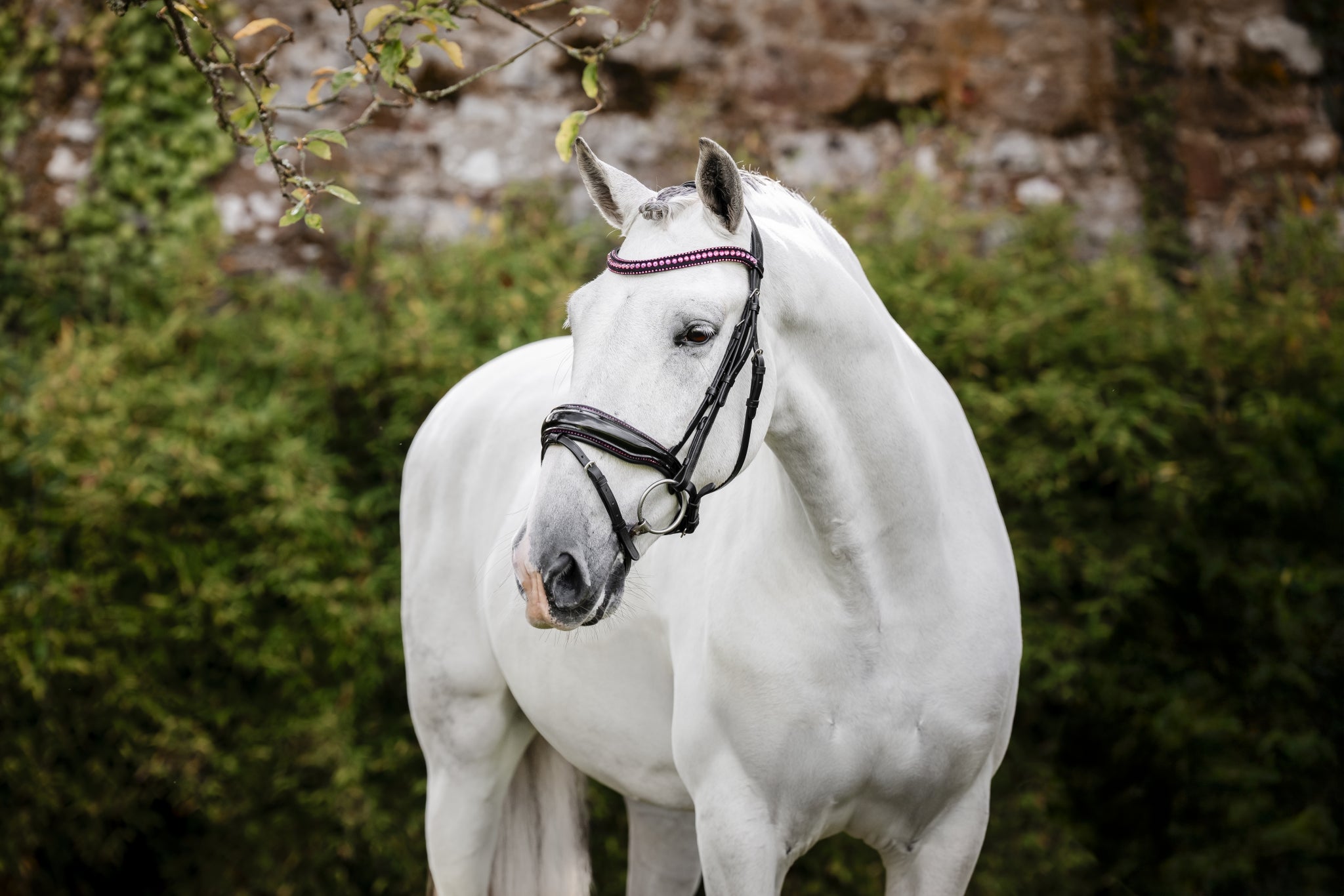 Horseware Diamante Flash Bridle - Image 5