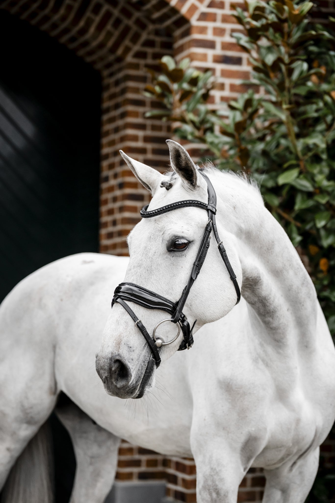Horseware Diamante Flash Bridle - Image 4
