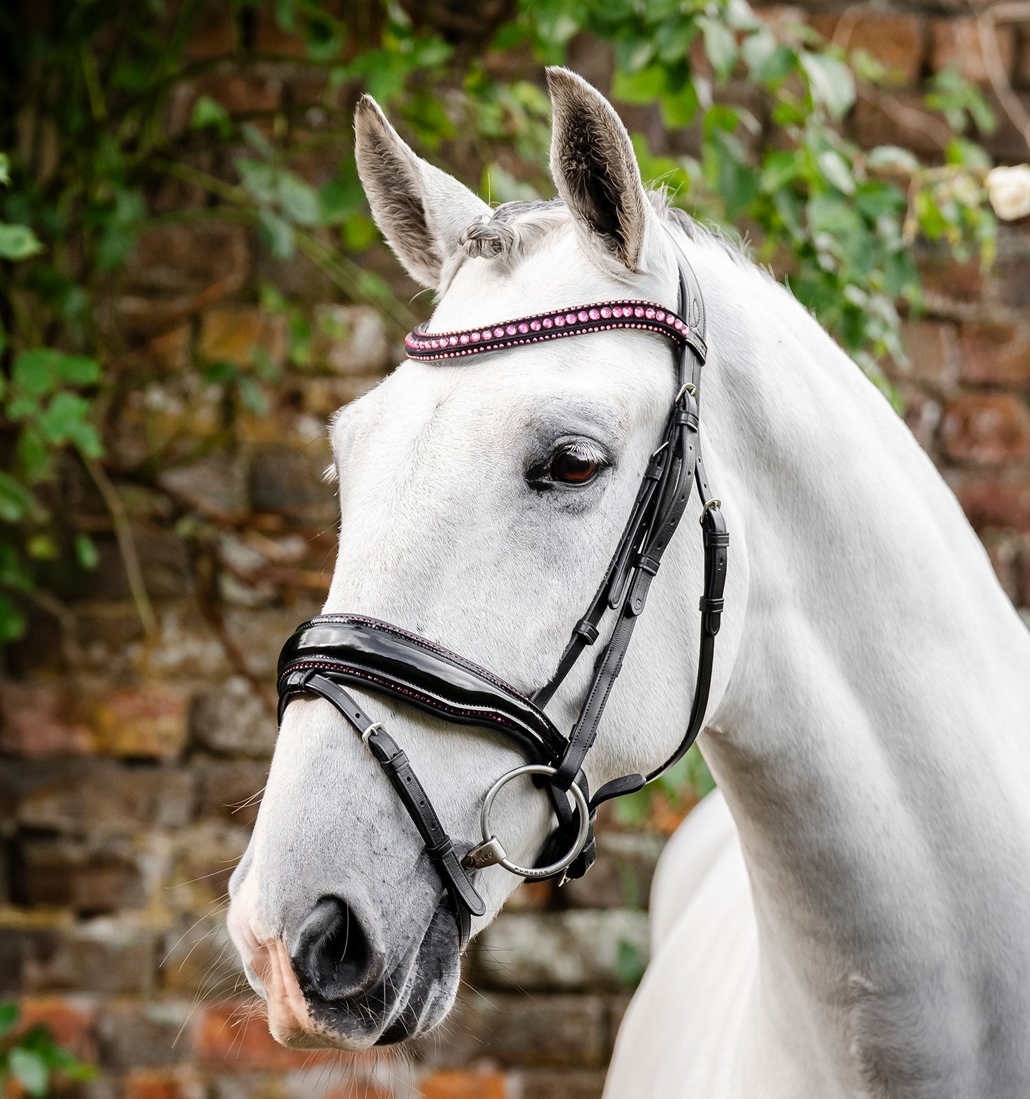 Horseware Diamante Flash Bridle - Image 2