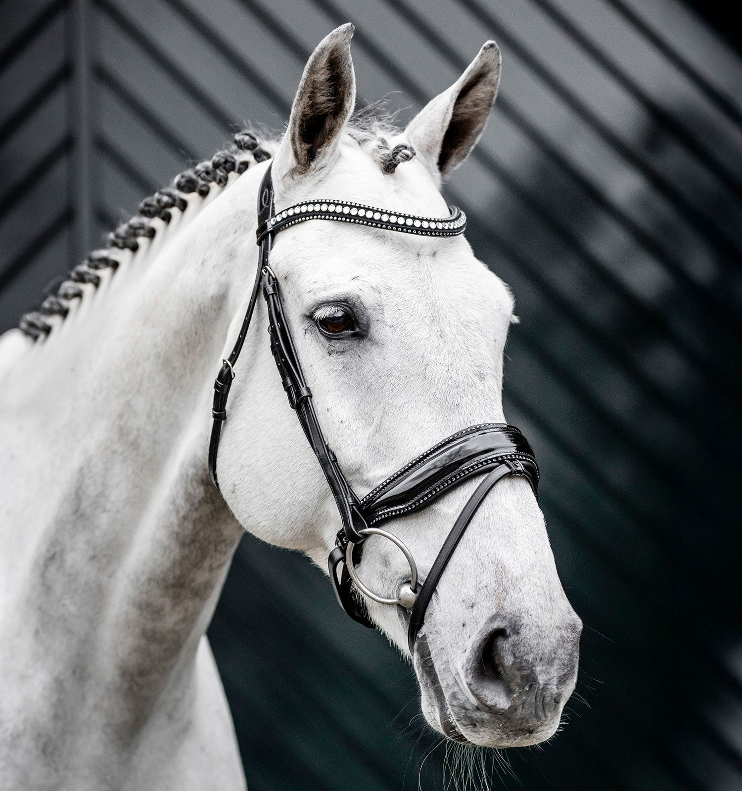 Horseware Diamante Flash Bridle - Image 3
