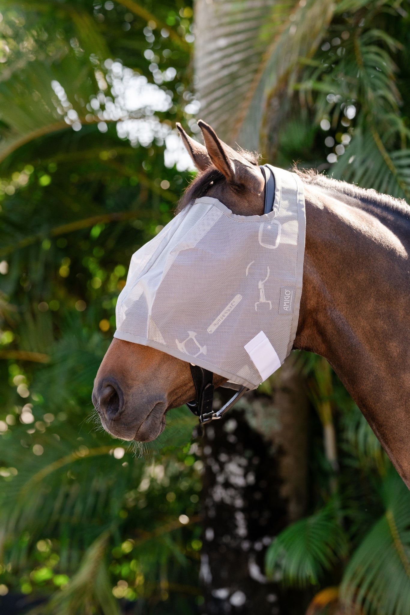Amigo Flymask wo. Ears