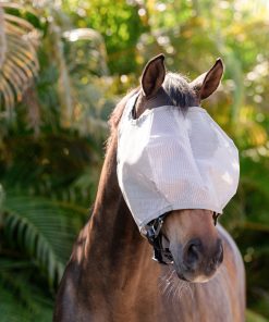 Alternative view of Amigo Flymask wo. Ears